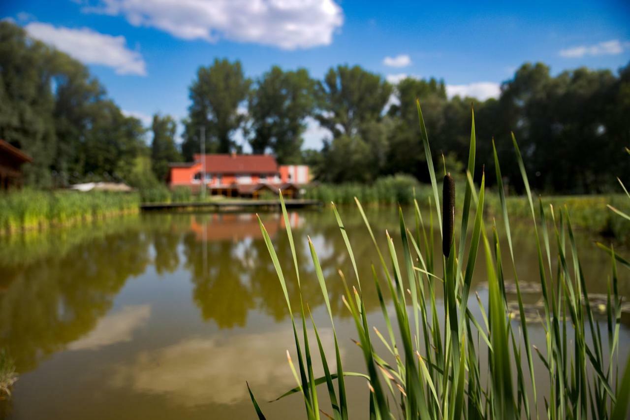 Penzion Amfik Bukovina Popovice  Extérieur photo