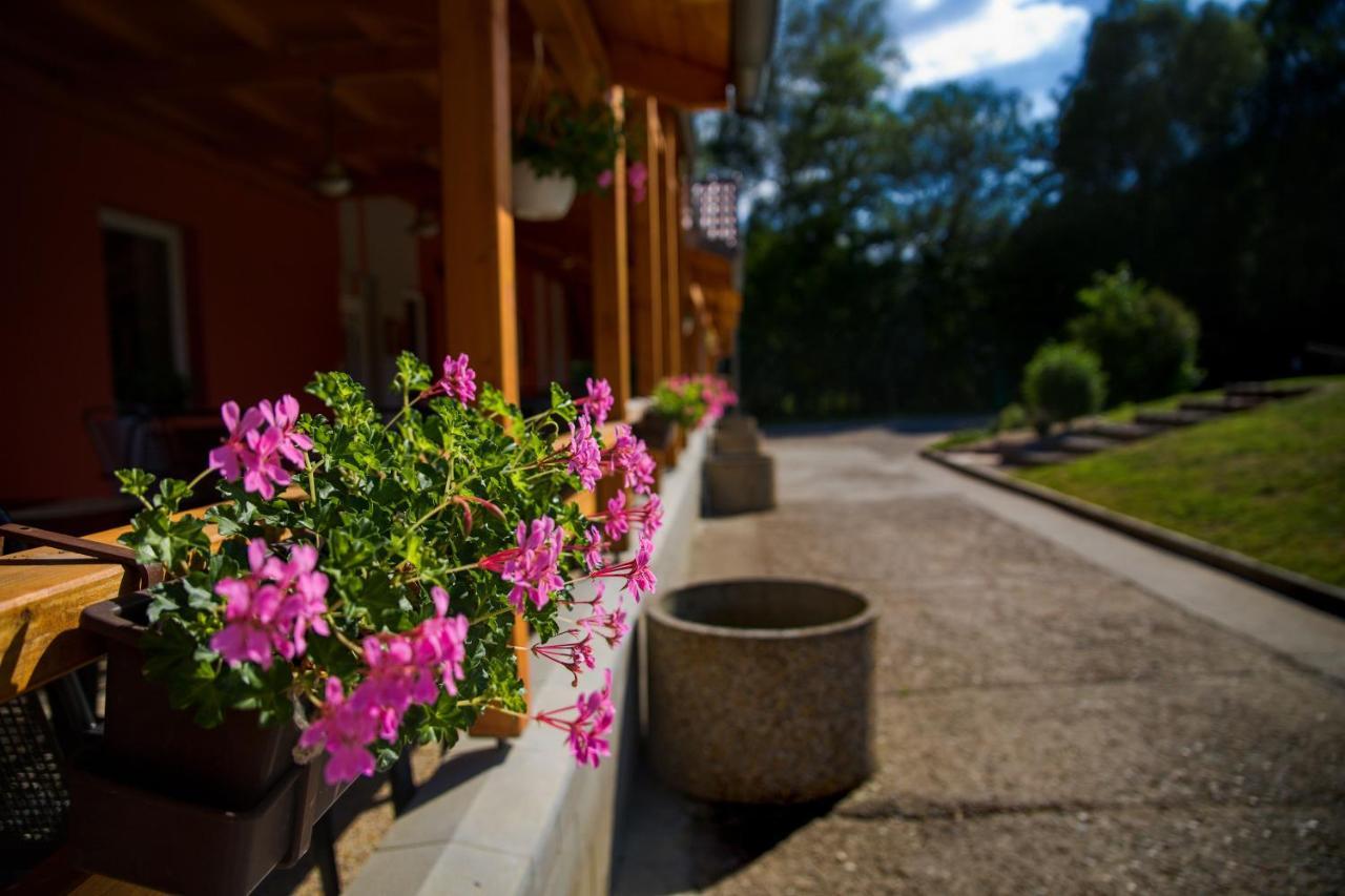 Penzion Amfik Bukovina Popovice  Extérieur photo